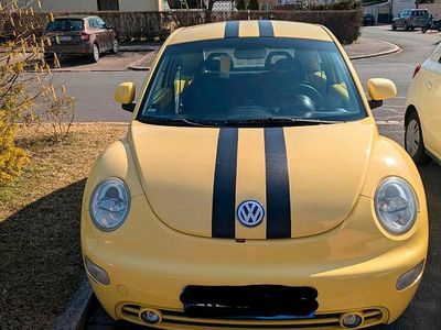 VW Beetle
