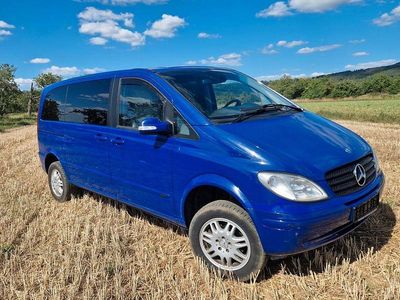 Mercedes Viano