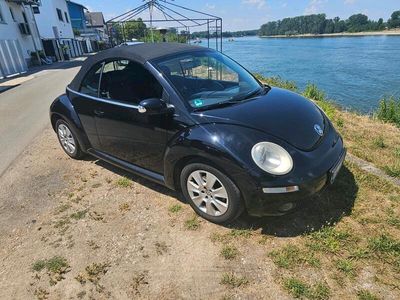 VW Beetle