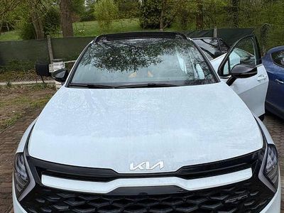 Gebraucht Kia Sportage 150 PS (110 kW) 2024 Weiß SUV