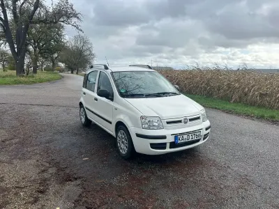 Usata Fiat Panda 69 CV (50 kW) 2011 Bianco Utilitaria