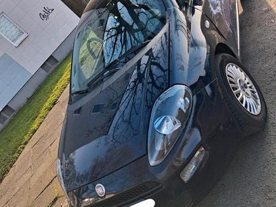 Gebraucht Fiat Punto 2012 Blau Kleinwagen