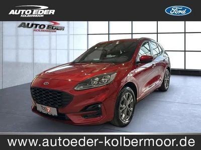 Usata Ford Kuga ST-Line X 190 CV (139 kW) 2021 Rosso SUV