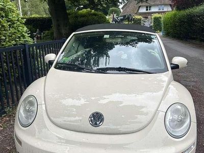 VW Beetle