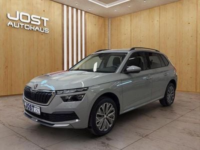 Gebraucht Skoda Kamiq Clever 110 PS (80 kW) 2021 Stahlgrau SUV