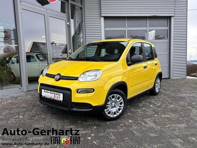 Gebraucht Fiat Panda 69 PS (50 kW) 2025 Gelb Kleinwagen