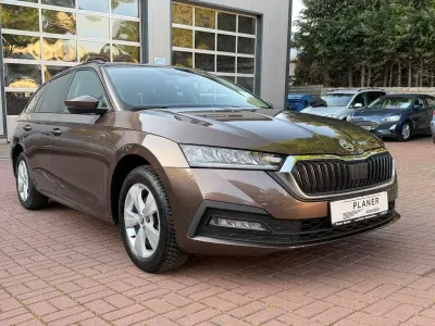 Gebraucht Skoda Octavia 150 PS (110 kW) 2020 Braun Kombi