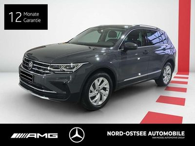 Gebraucht VW Tiguan Business 150 PS (110 kW) 2021 Delfingrau metallic SUV