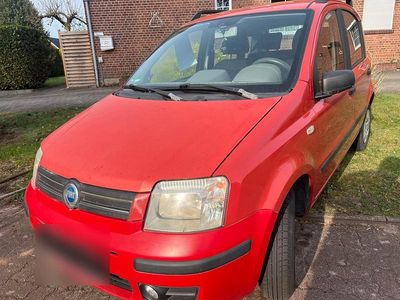 Usata Fiat Panda 59 CV (43 kW) 2005 Rosso Utilitaria