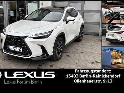 Gebraucht Lexus NX350h E-FOUR Luxury Line 243 PS (178 kW) 2025 Weiß SUV