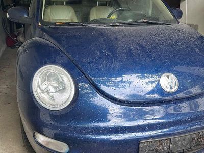 VW Beetle