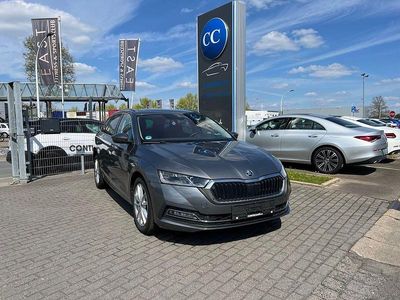 Gebraucht Skoda Octavia Style 150 PS (110 kW) 2023 Grau Kombi