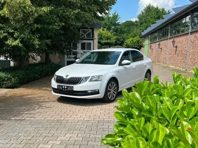 Gebraucht Skoda Octavia Drive 150 PS (110 kW) 2017 Weiß Limousine