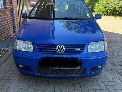 VW Polo