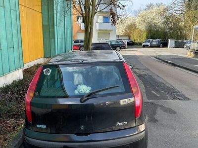 gebraucht Fiat Punto 