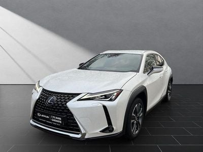 Gebraucht Lexus UX 250h Sport Line 184 PS (135 kW) 2021 Weiß SUV