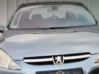 Gebraucht Peugeot 307 Quiksilver 109 PS (80 kW) 2004 Grau Limousine