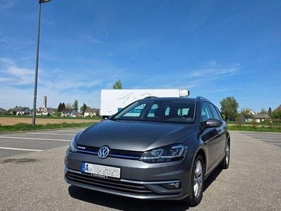 Gebraucht VW Golf VIII IQ Drive 131 PS (96 kW) 2020 Limousine