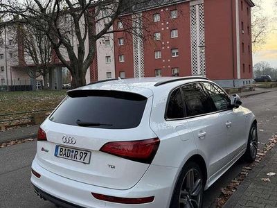 Gebraucht Audi SQ5 Competition 326 PS (239 kW) 2017 Weiß SUV