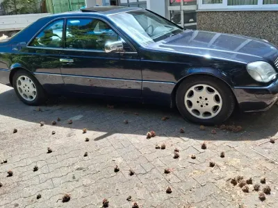 Gebraucht Mercedes CL500 320 PS (235 kW) 1996 Blau Coupé