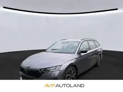 Gebraucht Skoda Octavia SportLine 190 PS (139 kW) 2023 Grau Kombi