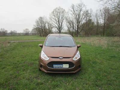 Usata Ford B-MAX Trend 90 CV (66 kW) 2014 Marrone Monovolume