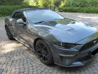 Gebraucht Ford Mustang 290 PS (213 kW) 2019 Grau Cabrio