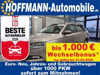 Gebraucht Skoda Fabia Ambition 75 PS (55 kW) 2019 Beige Kombi