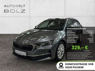Grau Gebraucht 2025 Skoda Octavia Selection Limousine | 32.890 € (Fairer Preis)