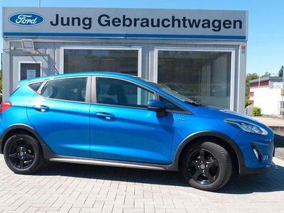 Usata Ford Fiesta Active 101 CV (74 kW) 2019 Utilitaria