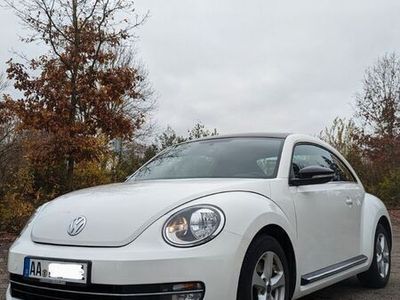 gebraucht VW Beetle 1.4 Sport, Panorama, gepflegt