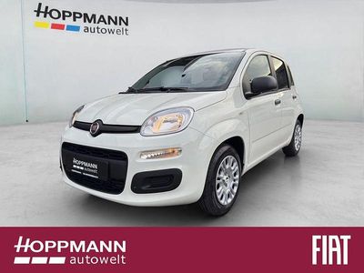 Neu Fiat Panda Pop 69 PS (50 kW) 2025 Weiß Limousine