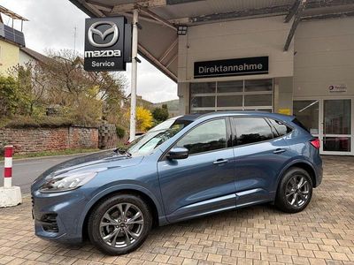 Gebraucht Ford Kuga ST-Line X 150 PS (110 kW) 2023 Blau SUV