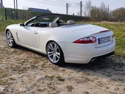 gebraucht Jaguar XK 4.2L V8 Cabrio