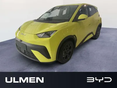 Neu BYD Dolphin Surf Comfort 114 kW (156 PS) 2026 Lime green Kleinwagen