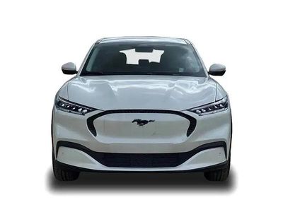 Gebraucht Ford Mustang Mach-E Basis 197 kW (269 PS) 2023 Weiss SUV