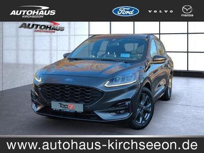 Gebraucht Ford Kuga ST-Line 150 PS (110 kW) 2023 Grau SUV