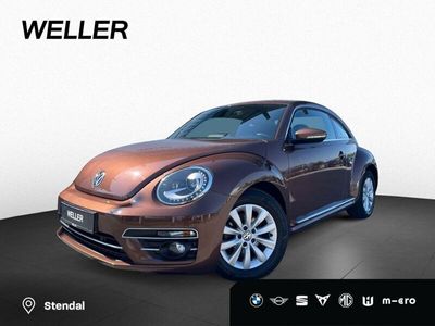 VW Beetle
