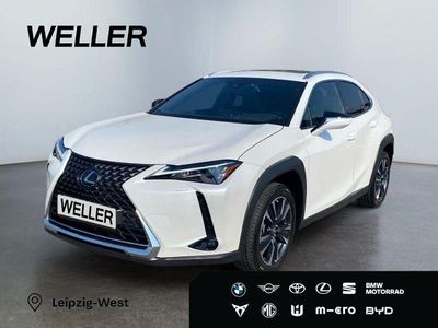 Gebraucht Lexus UX 250h Executive Line 184 PS (135 kW) 2021 Weiss SUV