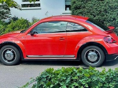 VW Beetle