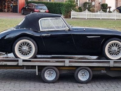 Gebraucht Austin Healey 3000 MK I 124 PS (91 kW) 1960 Schwarz Cabrio
