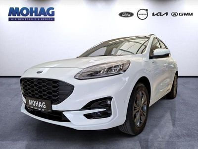 Gebraucht Ford Kuga ST-Line X 224 PS (164 kW) 2022 Weiss SUV