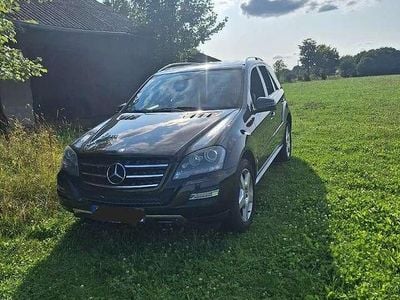 Mercedes ML300