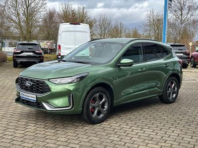 Neu Ford Kuga ST-Line X 186 PS (136 kW) 2025 Grün SUV
