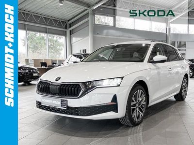 Usata Skoda Octavia Selection 150 CV (110 kW) 2024 Bianco Station wagon