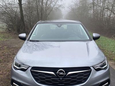 Usata Opel Grandland X Business 181 CV (133 kW) 2020 Grigio SUV