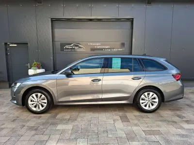 Gebraucht Skoda Octavia 150 PS (110 kW) 2026 Graphitegrau Kombi
