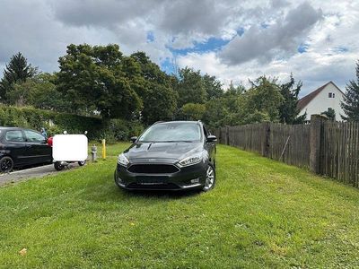 Usata Ford Focus Titanium 125 CV (91 kW) 2015 Marrone Station wagon