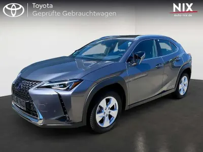 Gebraucht Lexus UX 300e Executive Line 150 kW (204 PS) 2021 Grau SUV