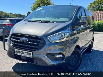Gebraucht Ford 300 170 PS (125 kW) 2018 Grau Van / Kleinbus